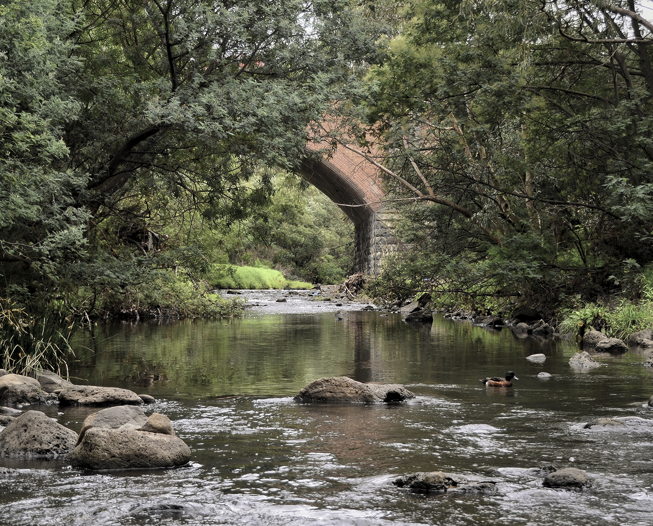 Merri Park - SIG Group